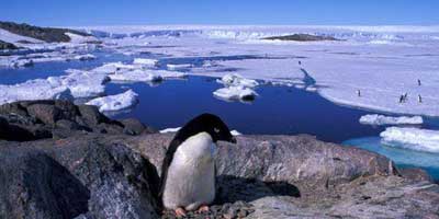 Terres australes et antarctiqu